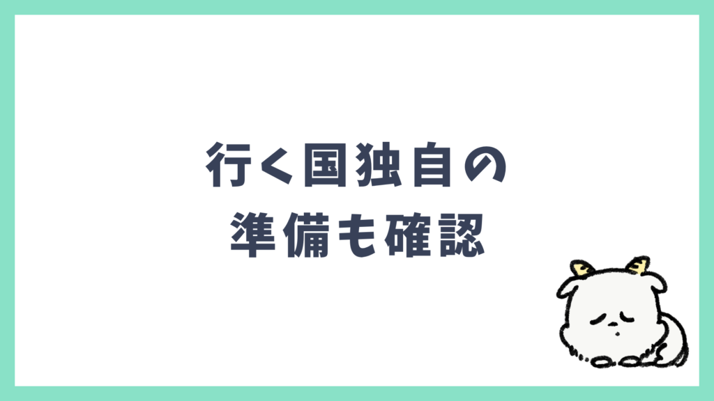 海外旅行準備 国独自の準備